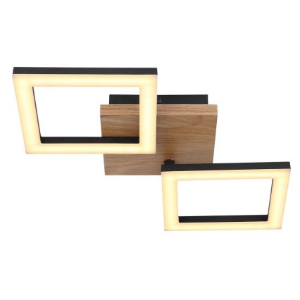 Globo - LED Pinta-asennettava kattokruunu LED/18W/230V