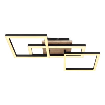 Globo - LED-kattovalaisin LED/24W/230V 3000K