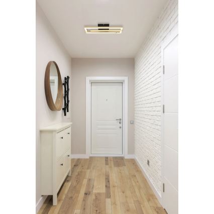 Globo - LED-kattovalaisin LED/24W/230V 4000K kulta