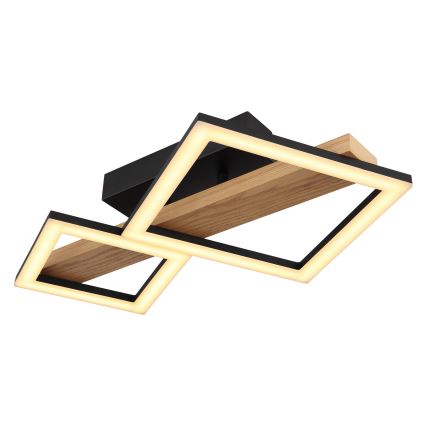 Globo - LED-kattovalaisin LED/19W/230V