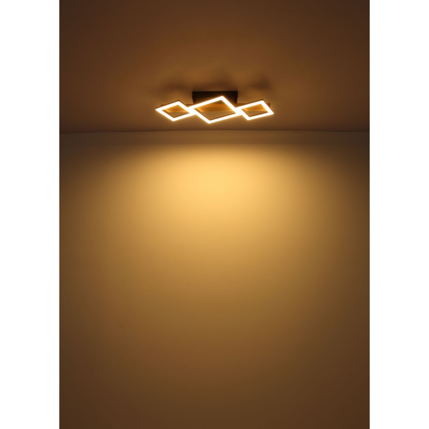 Globo - LED-kattovalaisin LED/29W/230V