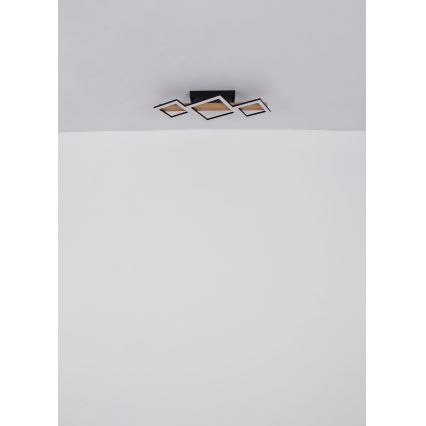 Globo - LED-kattovalaisin LED/29W/230V