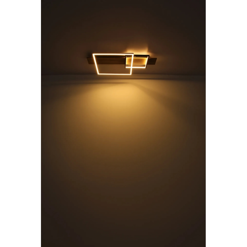 Globo 67289D1 - LED-kattovalaisin VANNI LED/24W/230V 40x75 cm ruskea/musta
