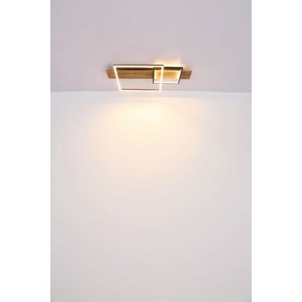 Globo 67289D1 - LED-kattovalaisin VANNI LED/24W/230V 40x75 cm ruskea/musta