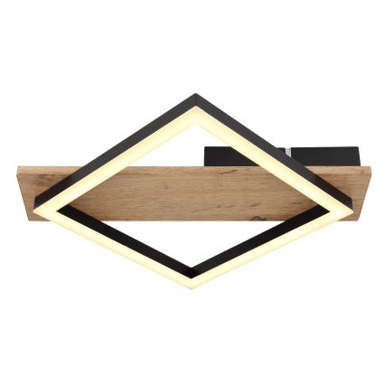 Globo - LED-kattovalaisin LED/12W/230V