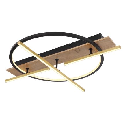 Globo - LED-kattovalaisin LED/44W/230V