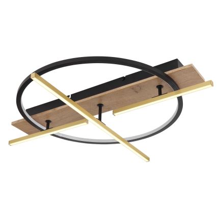 Globo - LED-kattovalaisin LED/44W/230V