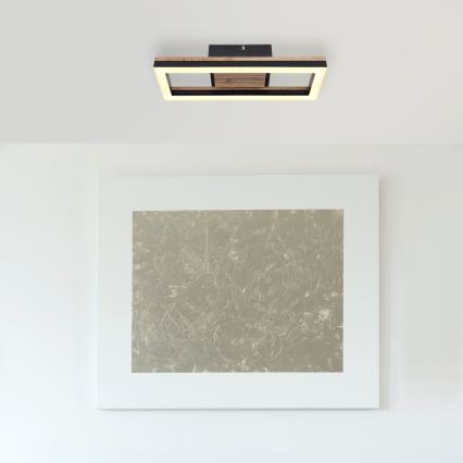 Globo - LED-kattovalaisin LED/12W/230V