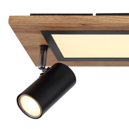 Globo - LED-kohdevalaisin LED/24W/230V + 3xGU10/5W