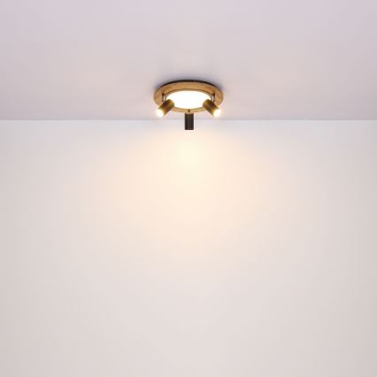 Globo - LED-kohdevalaisin 3xGU10/5W/230V + LED/15W/230V