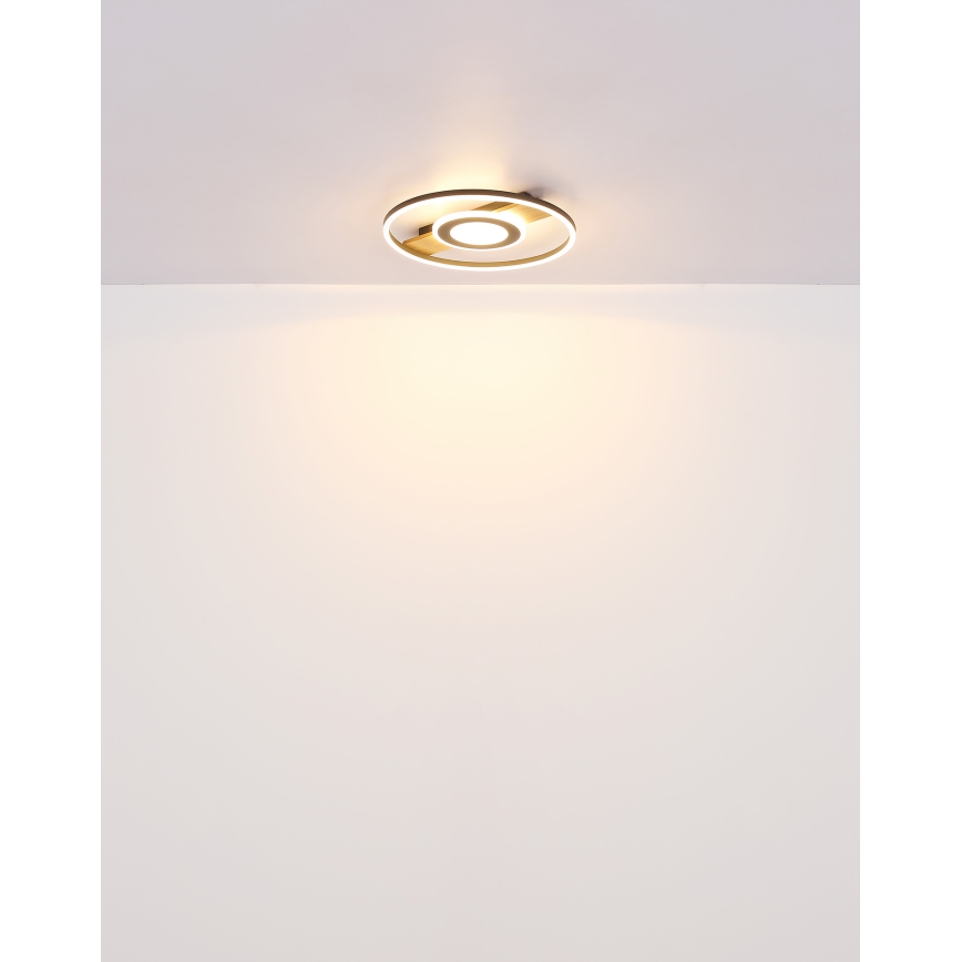 Globo - LED-kattovalaisin LED/24W/230V