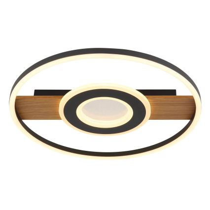 Globo - LED-kattovalaisin LED/24W/230V