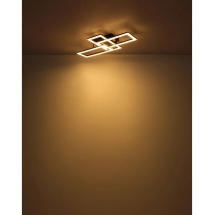 Globo - LED-kattovalaisin LED/24W/230V