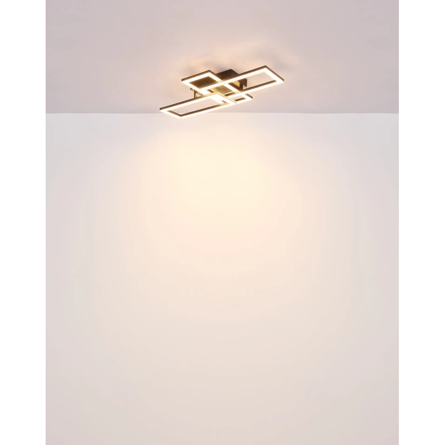 Globo - LED-kattovalaisin LED/24W/230V