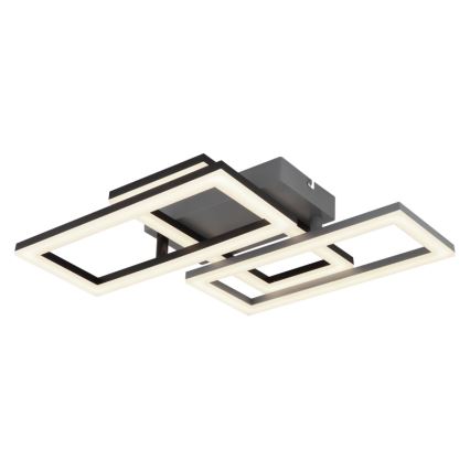 Globo - LED-kattovalaisin LED/24W/230V 4000K harmaa