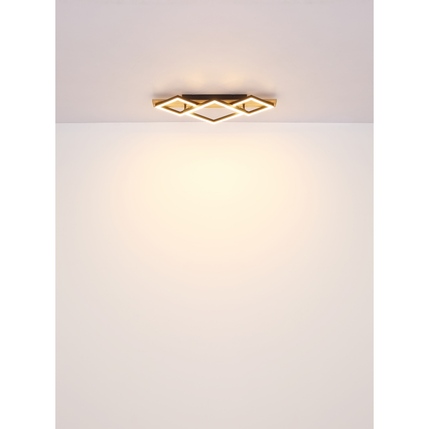 Globo - LED-kattovalaisin LED/24W/230V