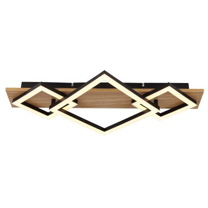 Globo - LED-kattovalaisin LED/24W/230V