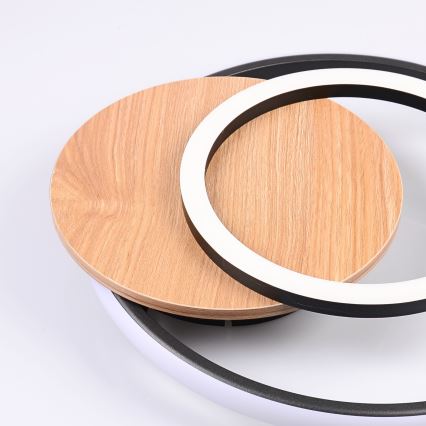 Globo - LED-kattovalaisin LED/24W/230V musta