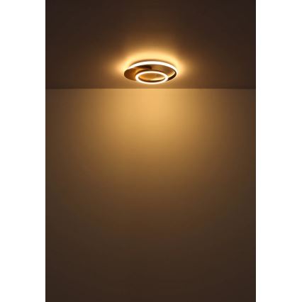 Globo - LED-kattovalaisin LED/24W/230V