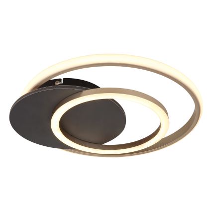 Globo - LED-kattovalaisin LED/24W/230V