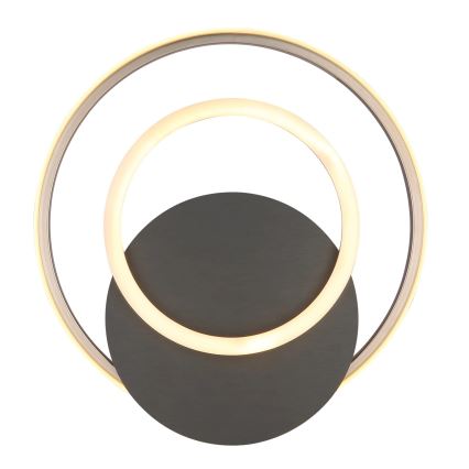 Globo - LED-kattovalaisin LED/24W/230V