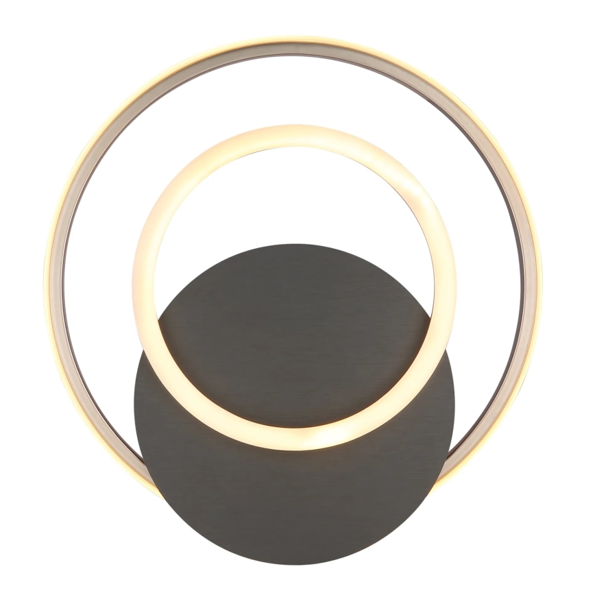 Globo - LED-kattovalaisin LED/24W/230V