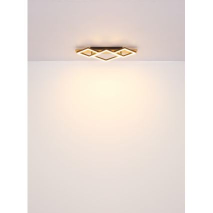 Globo - LED-kattovalaisin LED/32W/230V 3000K 31x61cm