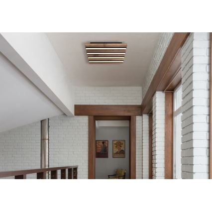 Globo - LED-kattovalaisin LED/15 W/230 V 3000 K 30 x 30 cm