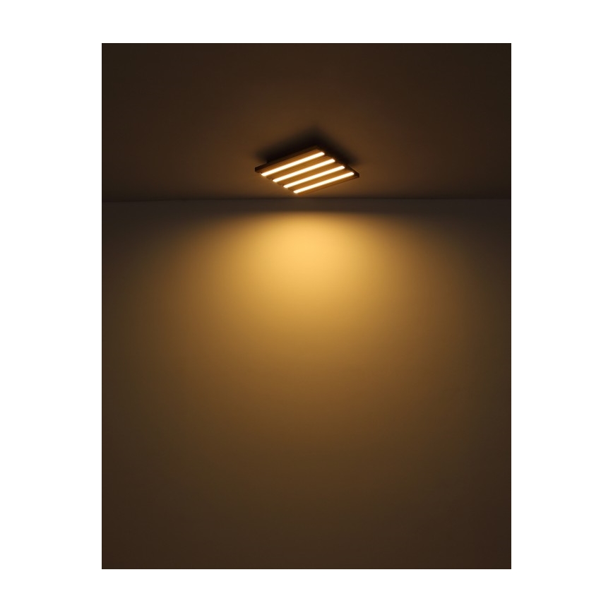 Globo - LED-kattovalaisin LED/15 W/230 V 3000 K 30 x 30 cm