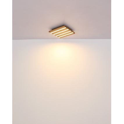 Globo - LED-kattovalaisin LED/15 W/230 V 3000 K 30 x 30 cm