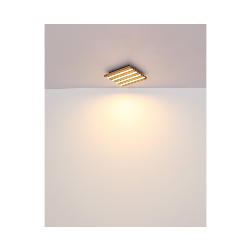 Globo - LED-kattovalaisin LED/15 W/230 V 3000 K 30 x 30 cm