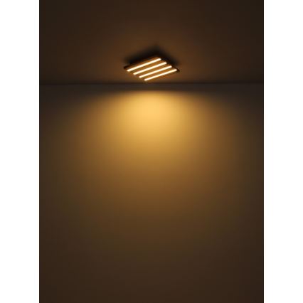Globo - LED kattovalaisin LED/30W/230V 3000K 45x45 cm