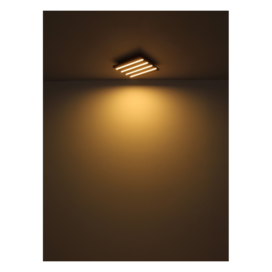Globo - LED kattovalaisin LED/30W/230V 3000K 45x45 cm