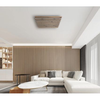 Globo - Himmennettävä LED-kattovalaisin LED/40W/230V 2700-6000K 60x60 cm + kaukosäädin