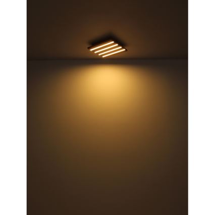 Globo - LED-kattovalaisin LED/30W/230V 3000K 80x20 cm