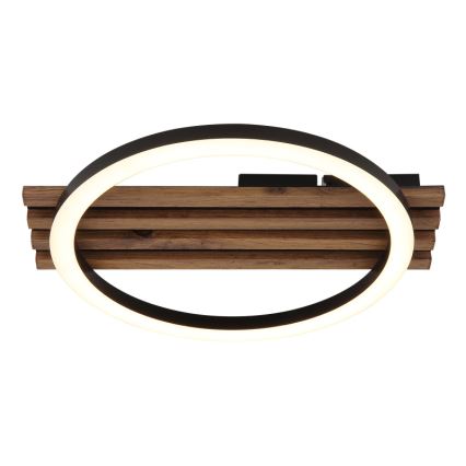 Globo - LED-kattovalaisin LED/12W/230V 3000K 30x34 cm