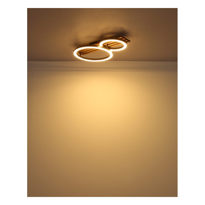 Globo - LED-kattovalaisin LED/18W/230V 3000K 30x48 cm