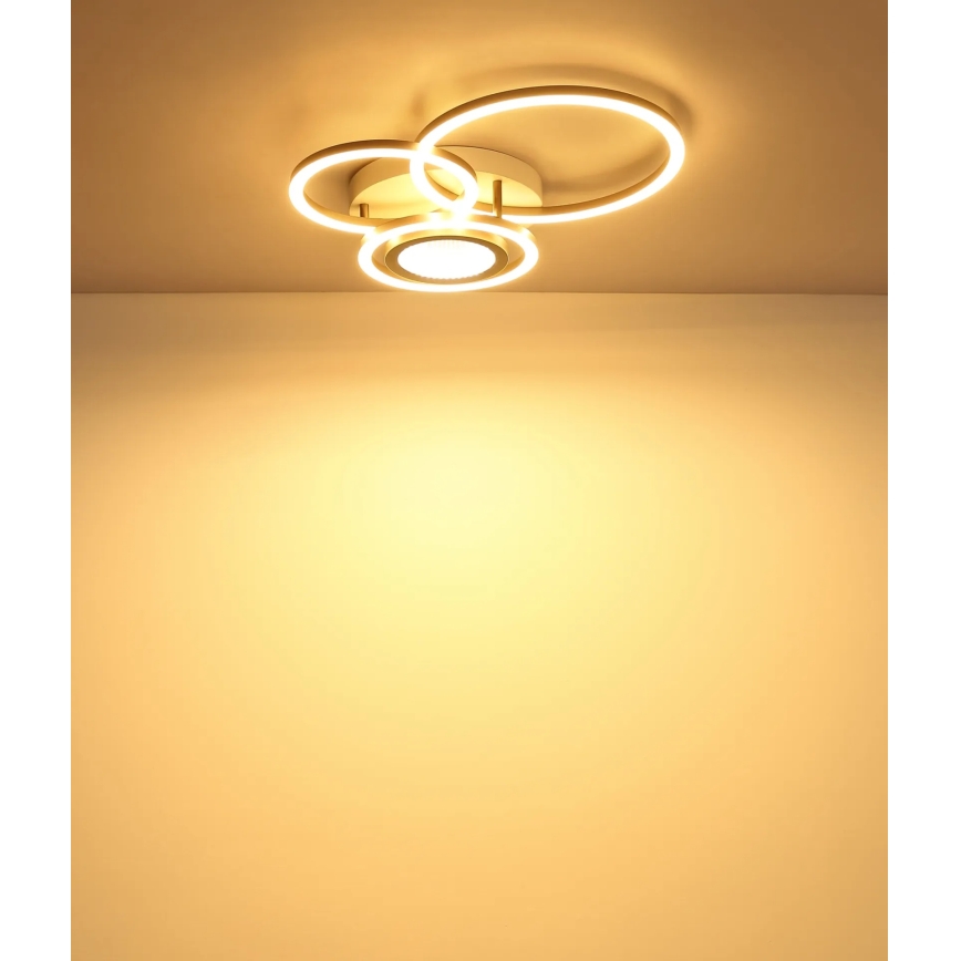 Globo - LED-kattovalaisin LED/40W/230V 3000K 49x39 cm