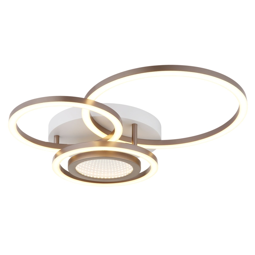Globo - LED-kattovalaisin LED/40W/230V 3000K 49x39 cm