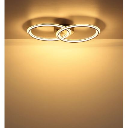Globo - LED-kattovalaisin LED/30W/230V 3000K 33x54 cm