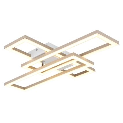 Globo - LED-kattovalaisin LED/24W/230V 3000/4000/6000K