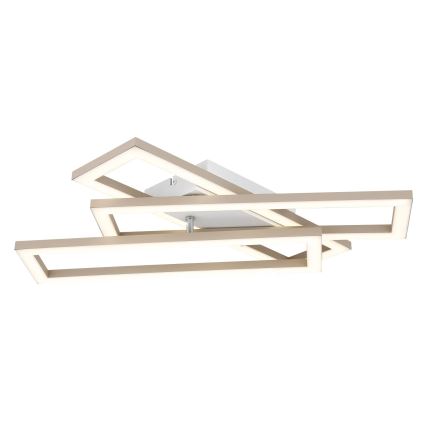 Globo - LED-kattovalaisin LED/24W/230V 3000/4000/6000K