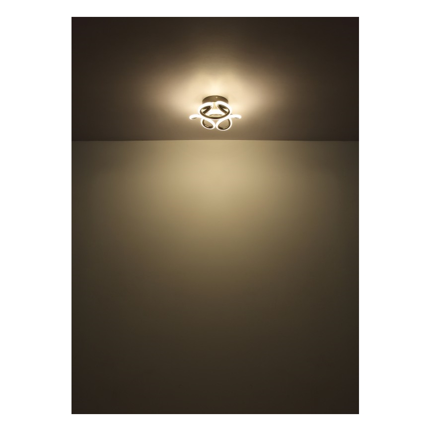 Globo - LED-kattovalaisin LED/24W/230V 2700/4000/6000K halkaisija 26 cm musta