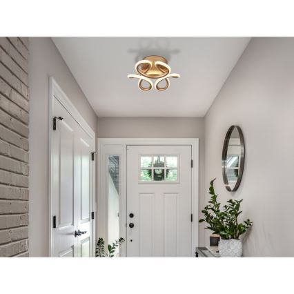 Globo - LED-kattovalaisin LED/24W/230V 2700/4000/6000K halkaisija 26 cm kulta