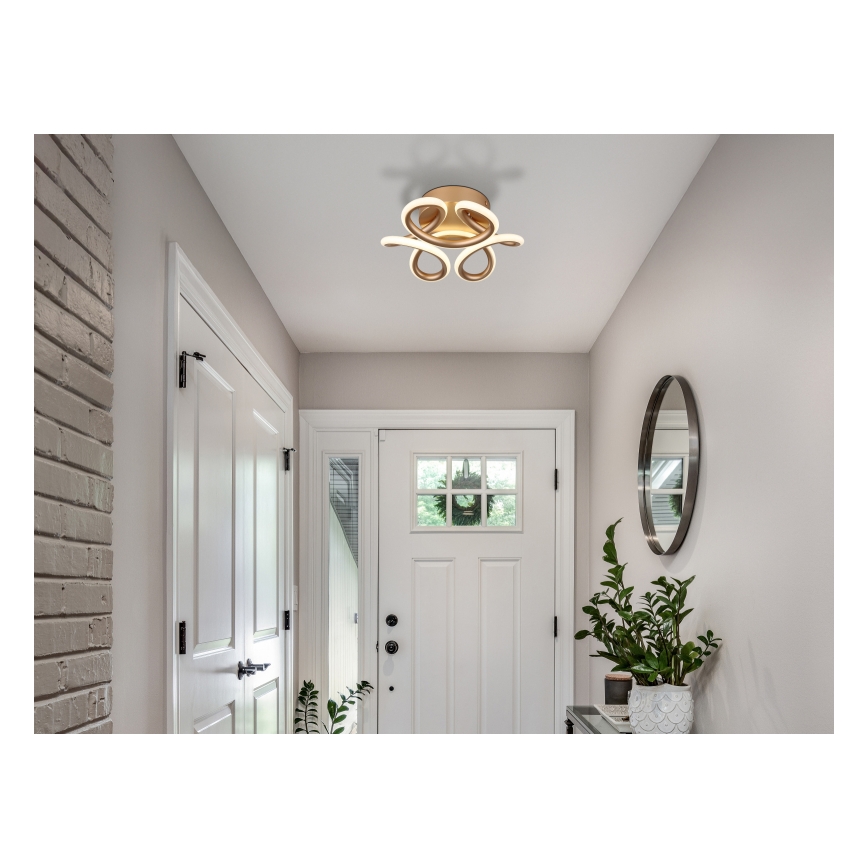 Globo - LED-kattovalaisin LED/24W/230V 2700/4000/6000K halkaisija 26 cm kulta