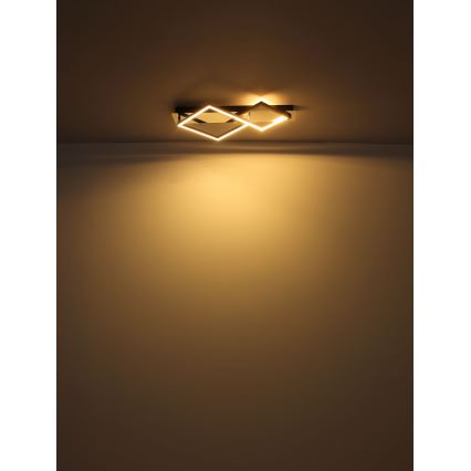 Globo - LED-kattovalaisin LED/24W/230V 3000K