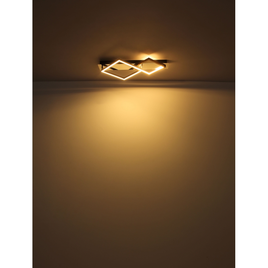 Globo - LED-kattovalaisin LED/24W/230V 3000K