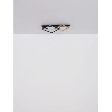 Globo - LED-kattovalaisin LED/24W/230V 3000K