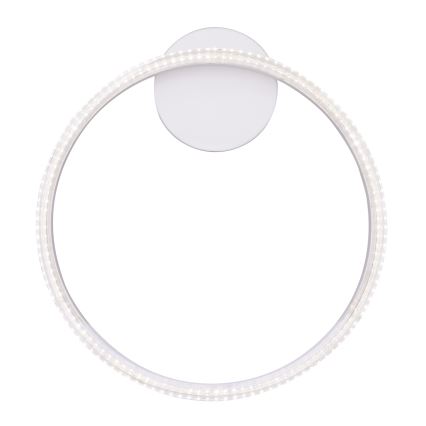 Globo - LED-kattovalaisin LED/24W/230V