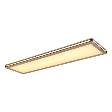Globo - Himmennettävä LED-kattovalaisin LED/36W/230V 3000K 30x120 cm